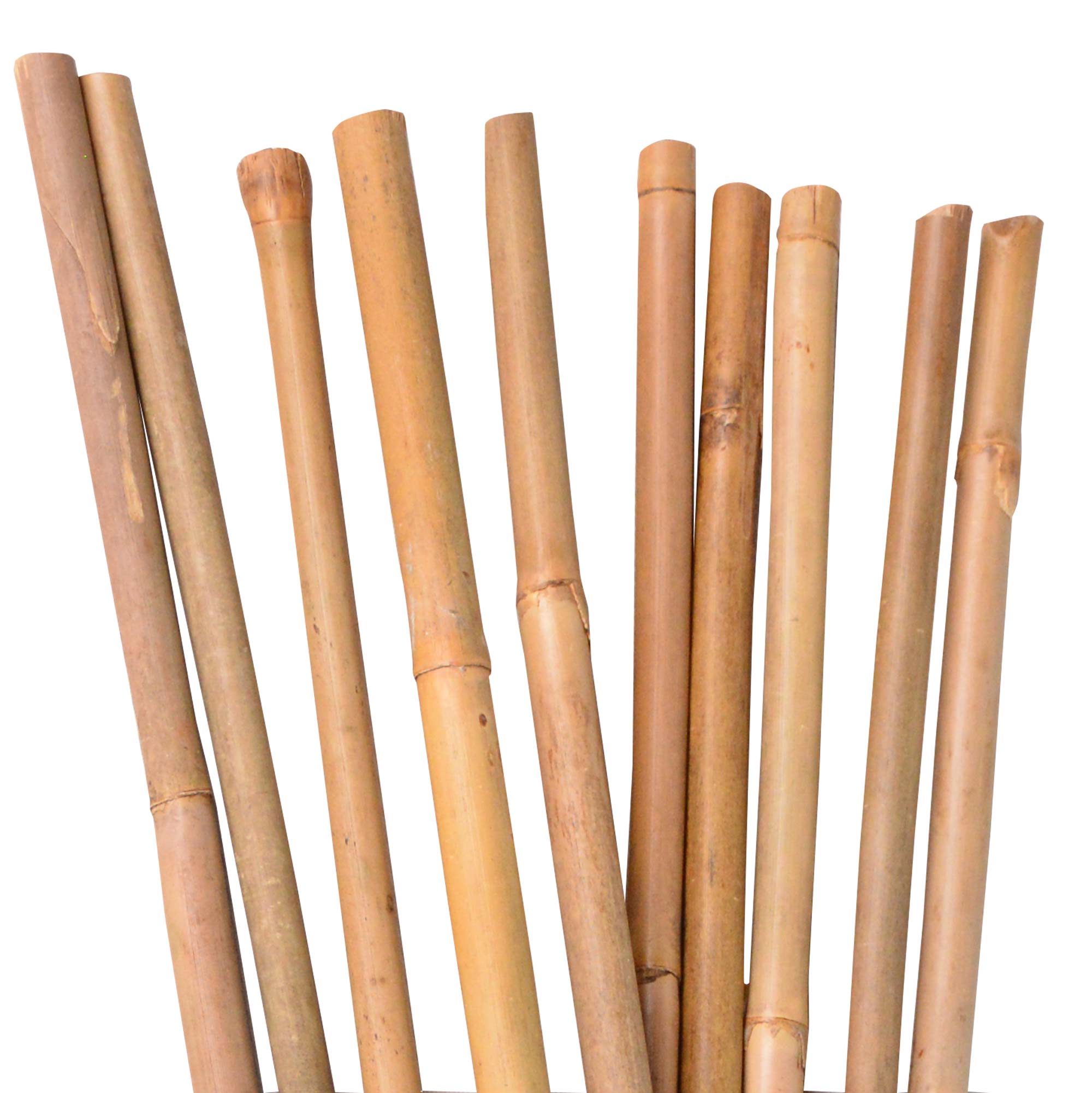 UNUS Bambusstbe 10 Stck , Rankstbe, Pflanzenstbe Bambus 150cm  naturfarbend