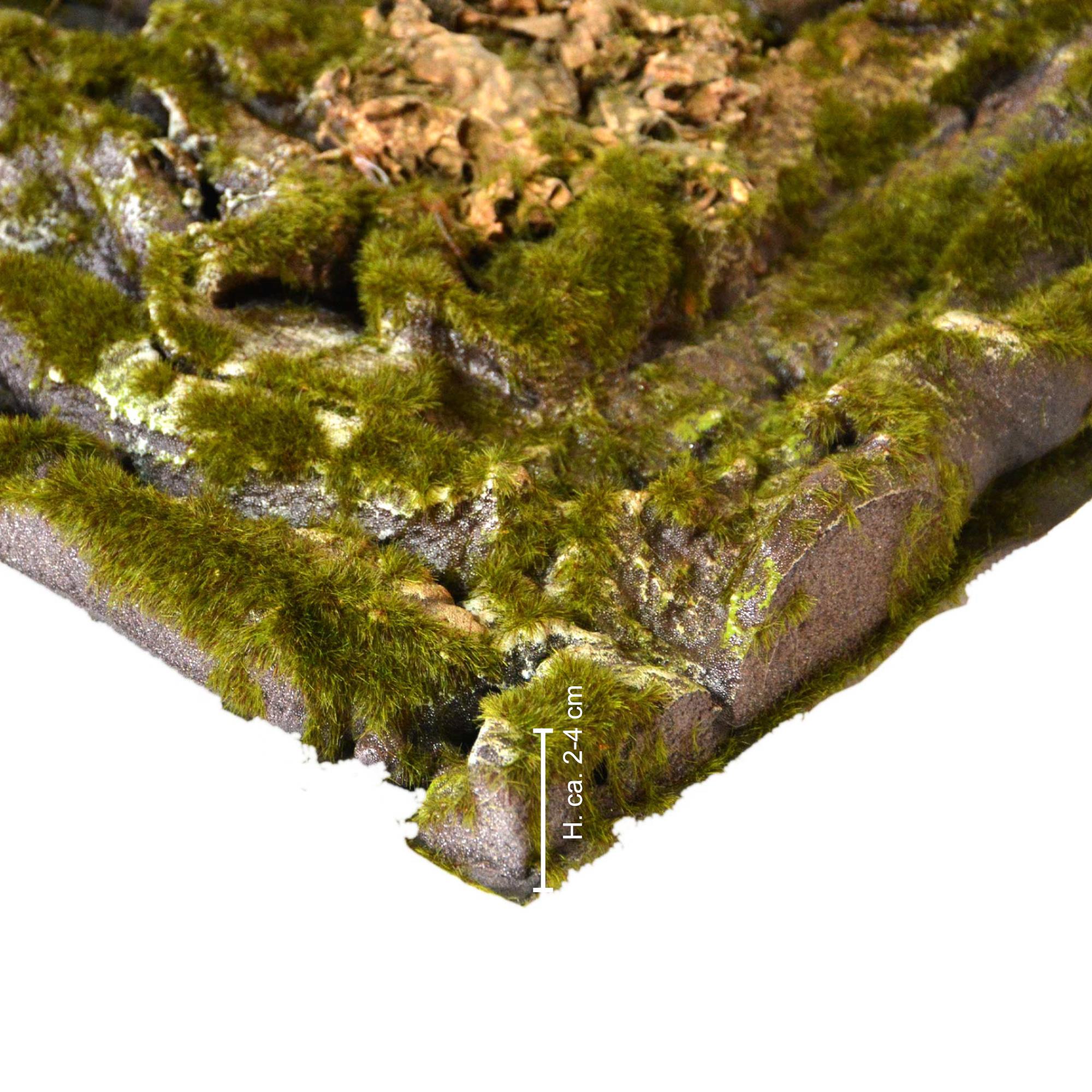 Tfwadmx Kork-Terrarien-Hintergrund 30x30 Cm – 2 Stück, Natürliche Korkrinde Für Reptilien & Kletterwand